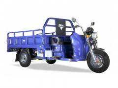 Тент защитный для трицикла RuTrike Атлант, Алтай