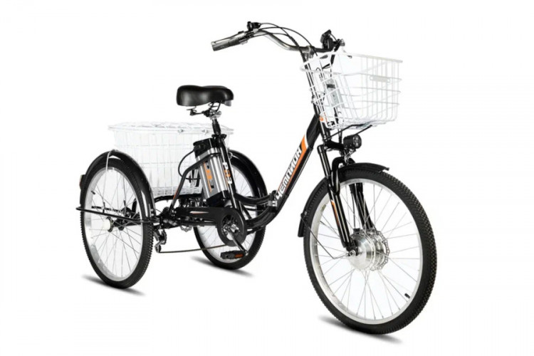 Электровелосипед РВЗ Чемпион 24 складной в Нижнем Тагиле