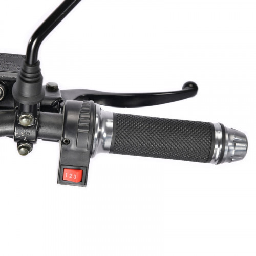 Электроскутер White Siberia TRIKE MINI 1500W в Нижнем Тагиле