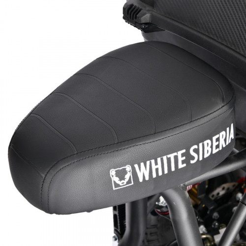 Электроскутер White Siberia TRIKE MINI 1500W в Нижнем Тагиле
