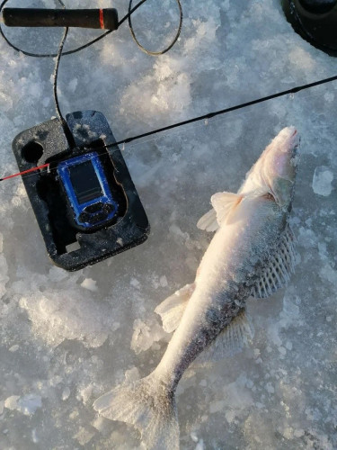 Эхолот Практик 8 в Нижнем Тагиле