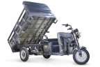Грузовой электрический трицикл RuTrike D4 NEXT II в Нижнем Тагиле