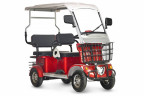 Пассажирский электротрицикл Rutrike Gelbert Hara в Нижнем Тагиле