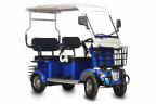 Пассажирский электротрицикл Rutrike Gelbert Hara в Нижнем Тагиле
