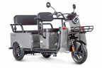Пассажирский электротрицикл Wanshida LC-F200 в Нижнем Тагиле