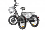 Электрофэтбайк Eltreco Green City e-ALFA Trike в Нижнем Тагиле