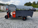 Грузовой электрический трицикл Pаntеrа Гидрaвлика 75V1500W в Нижнем Тагиле