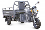 Грузовой электрический трицикл RuTrike Круиз в Нижнем Тагиле